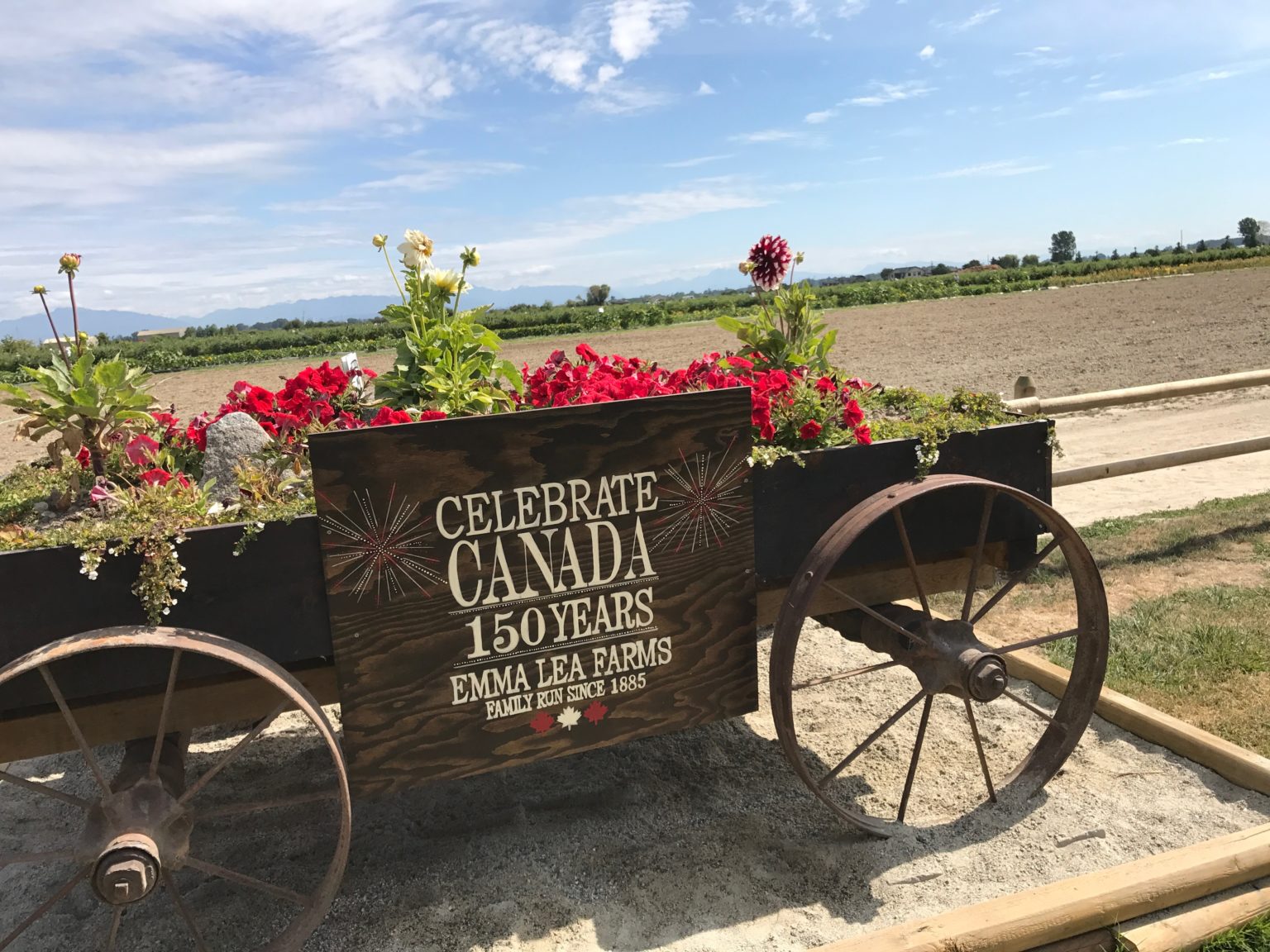 農業もFashion次第でオシャレになる？観光農園のイメージが変わったEmma Lea Farms＠バンクーバー We Love Eco